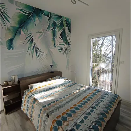 Proche Zénith Et Centre Nancy