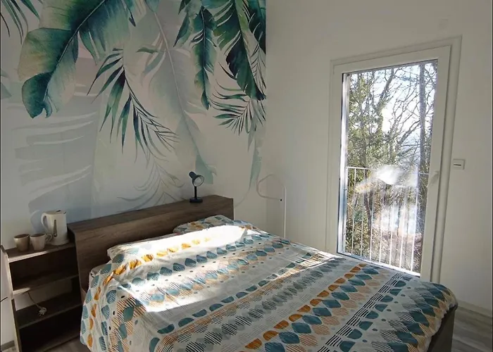 Proche Zénith Et Centre Nancy